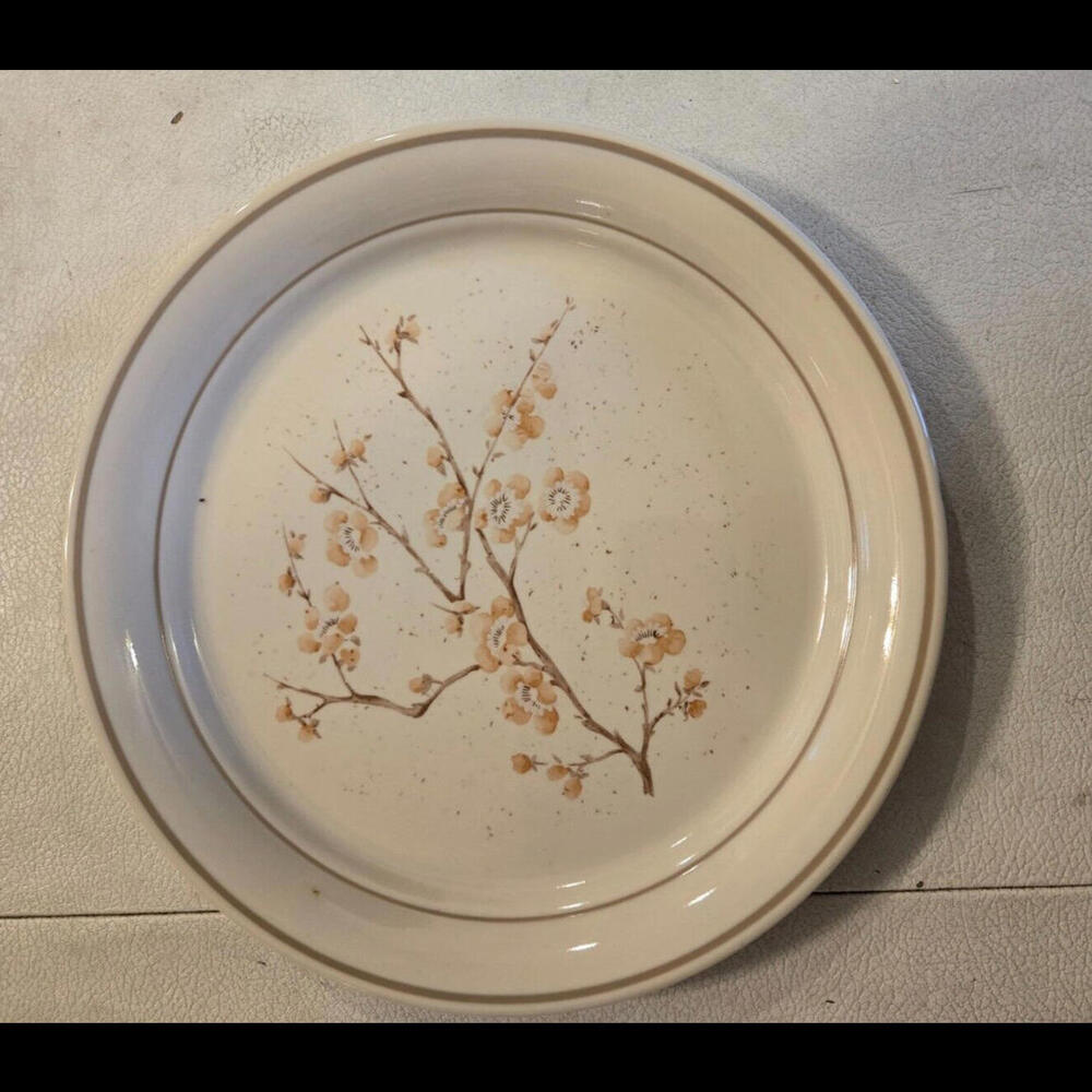 Corelle Corner Stone China Blossom 10.25" Luncheon Plate Dish